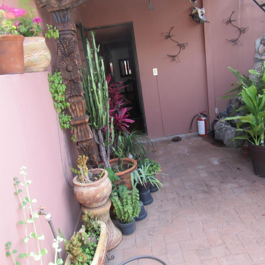 Hostal Casa Castillo Morelia Ngoại thất bức ảnh